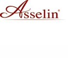 ENTREPRISE ASSELIN